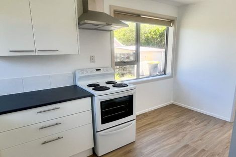 Photo of property in 2/38 Vienna Street, Waltham, Christchurch, 8023