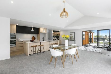 Photo of property in 143 Wingatui Road, Mosgiel, 9024