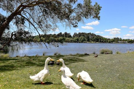 Photo of property in 33 Hastings Place, Hamilton Lake, Hamilton, 3204