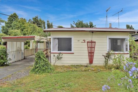 Photo of property in 77 Kirk Street, Otaki, 5512