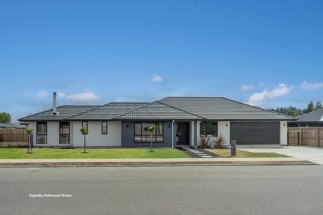 Photo of property in 123 Turnbull Drive, Witherlea, Blenheim, 7201