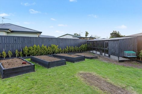 Photo of property in 60 Gloucester Road, Mount Maunganui, 3116