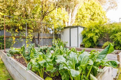 Photo of property in 20 Moerangi Street, West End, Palmerston North, 4410