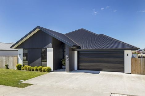 Photo of property in 3 Caproni Road, Burleigh, Blenheim, 7201