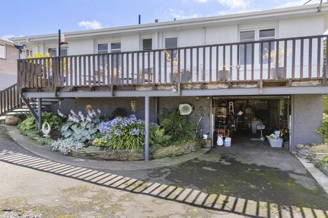 Photo of property in 19 Herron Street, Brockville, Dunedin, 9011