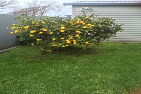 Photo of property in 16 Freyberg Street, Roslyn, Palmerston North, 4414