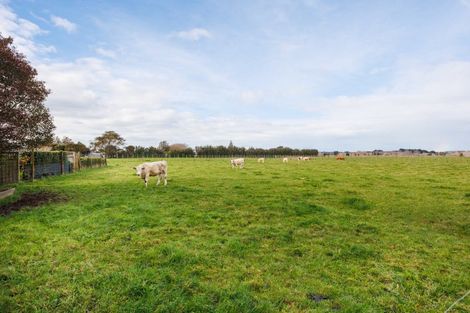Photo of property in 187 High Street, Bulls, 4818