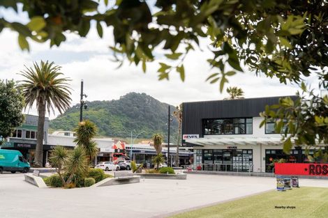 Photo of property in 39 May Street, Mount Maunganui, 3116