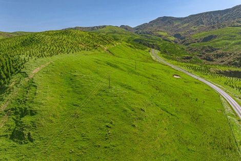 Photo of property in 3884 Pahiatua Pongaroa Road, Pongaroa, Pahiatua, 4989