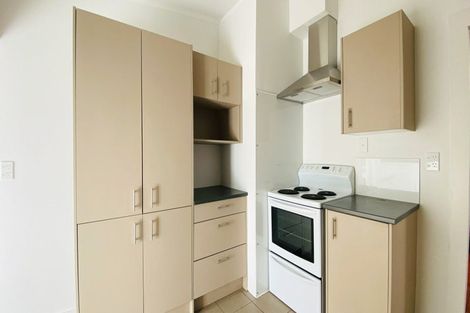 Photo of property in 26 Buchanan Street, Kingsland, Auckland, 1021