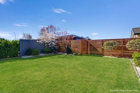 Photo of property in 12 Hamlett Drive, Woodend, 7610