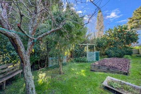 Photo of property in 12 Miller Avenue, Paeroa, 3600