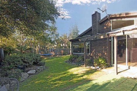 Photo of property in 41b Ellis Street, Brightwater, 7022