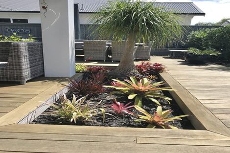 Photo of property in 42 Cassinia Close, Papamoa Beach, Papamoa, 3118