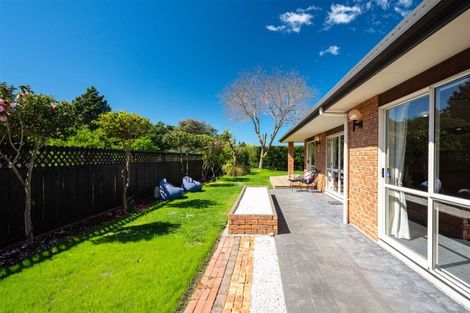 Photo of property in 34 Cashmere Grove, Witherlea, Blenheim, 7201