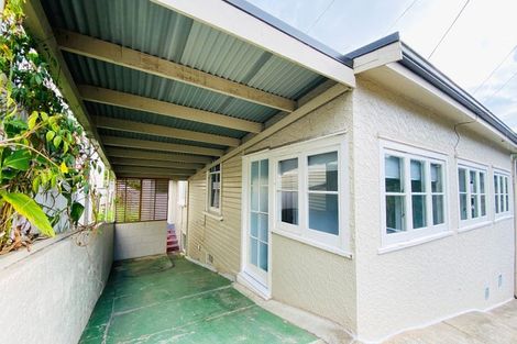 Photo of property in 26 Buchanan Street, Kingsland, Auckland, 1021