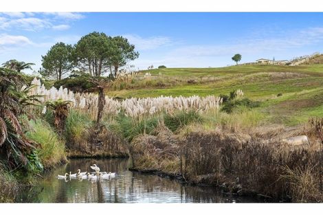 Photo of property in 16 Tearoe Road, Manukau Heads, Waiuku, 2684