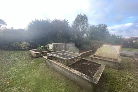 Photo of property in 6 Tybalt Street, Stratford, 4332