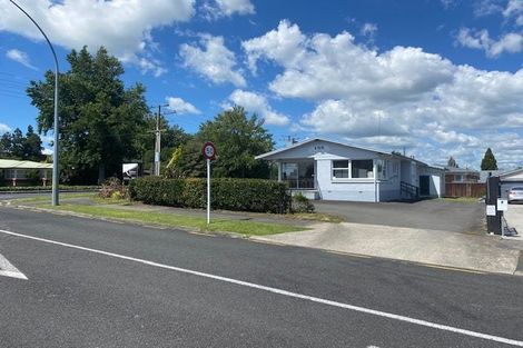 Photo of property in 155 Hukanui Road, Chartwell, Hamilton, 3210