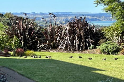 Photo of property in 11 Kaimata Road, Bay View, Napier, 4182