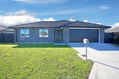 Photo of property in 6 Edward Pope Lane, Pokeno, 2402