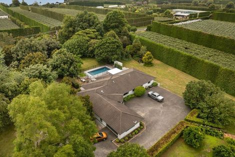 Photo of property in 116 Tuapiro Road, Tahawai, Katikati, 3170