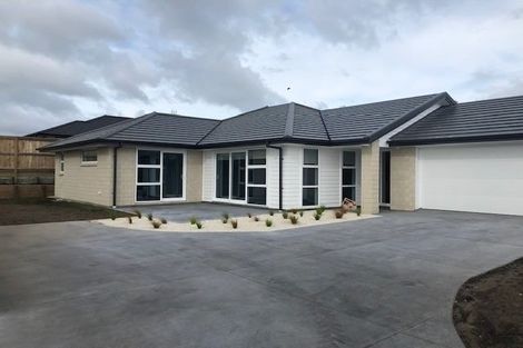 Photo of property in 19b Augusta Rise, Omokoroa, 3114