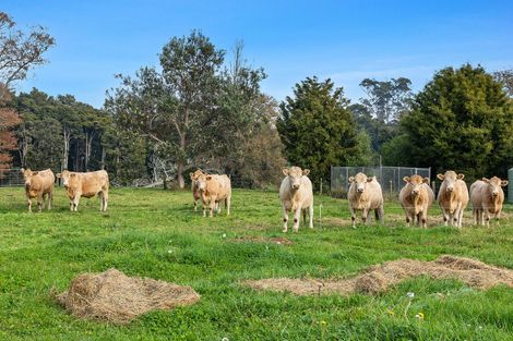 Photo of property in 81d Horrell Road, Morrinsville, 3374