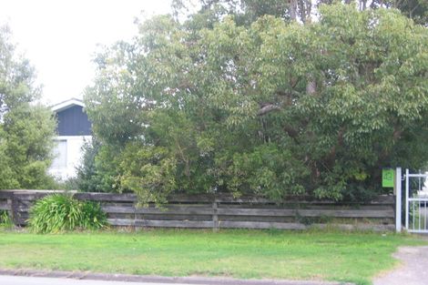 Photo of property in 43 Boundary Road, Opaheke, Papakura, 2113