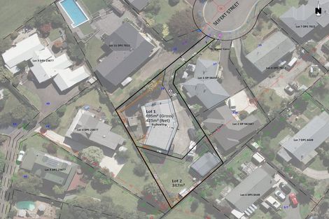 Photo of property in 19 Seifert Street, Forest Lake, Hamilton, 3200