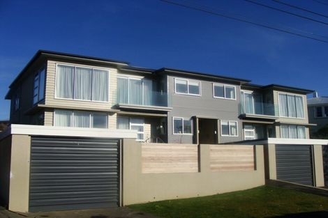 Photo of property in 61b Earls Road, Saint Clair, Dunedin, 9012