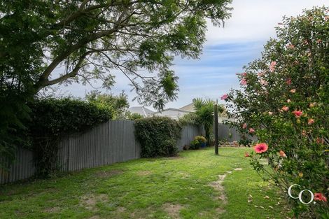 Photo of property in 17 Massey Crescent, Marewa, Napier, 4110
