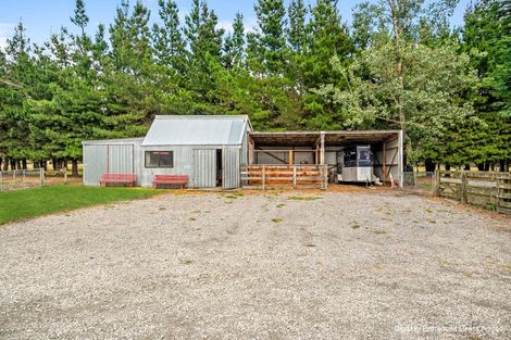 Photo of property in 51 Victoria Street, Oxford, 7430