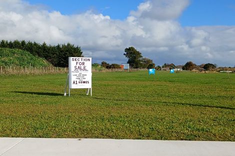 Photo of property in 19 Hawera Avenue, Levin, 5510