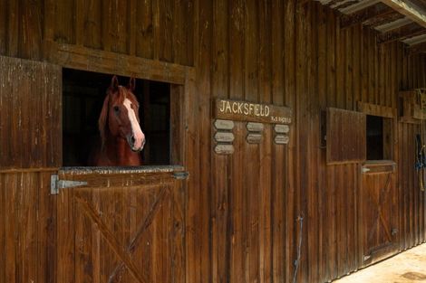 Photo of property in 295 Middle Renwick Road, Springlands, Blenheim, 7271