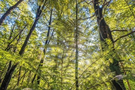 Photo of property in 184 Blue Duck Valley Road, Seaward Valley, Kaikoura, 7371