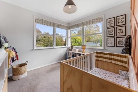 Photo of property in 17 Hobson Street, Levin, 5510