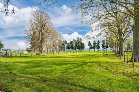 Photo of property in 367 Rawhiti Road, Reporoa, 3081