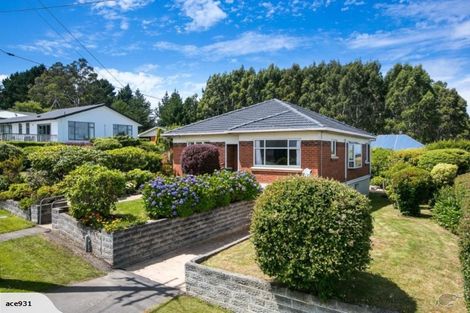 Photo of property in 222 Highcliff Road, Shiel Hill, Dunedin, 9013