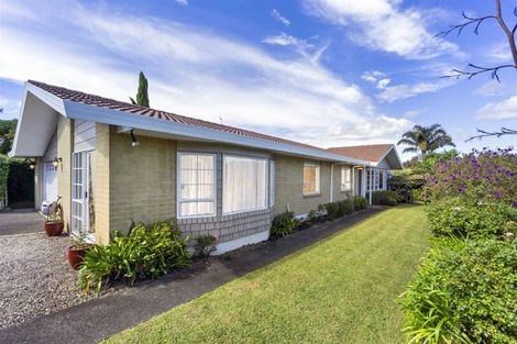 Photo of property in 3 Delisle Place, Windsor Park, Auckland, 0632