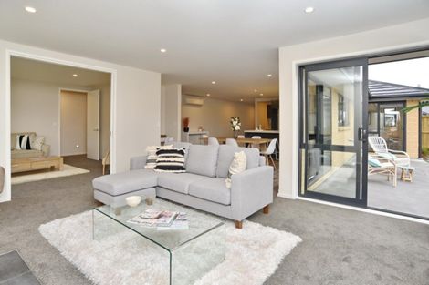 Photo of property in 57 Craig Thompson Drive, Lincoln, 7608