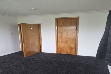 Photo of property in 195 Nikau Street, Saint Leonards, Hastings, 4120