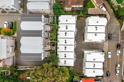 Photo of property in 3uj Papawai Terrace, Mount Cook, Wellington, 6021