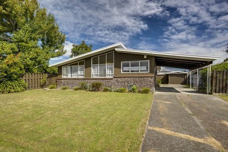 Photo of property in 43 Salisbury Avenue, Tamatea, Napier, 4112