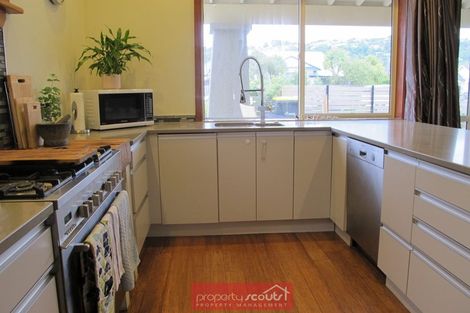 Photo of property in 5 Kennedy Street, Saint Clair, Dunedin, 9012