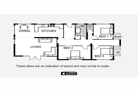 Photo of property in 21 Cape Hill Road, Pukekohe, 2120