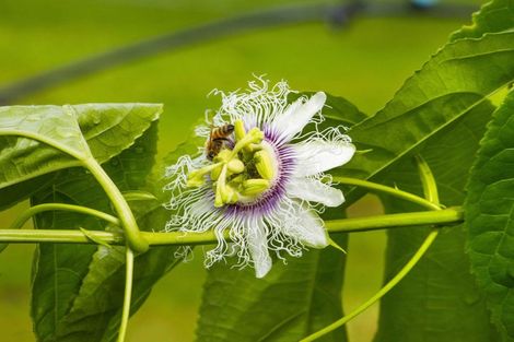 Photo of property in 241 Rea Road, Tahawai, Katikati, 3178