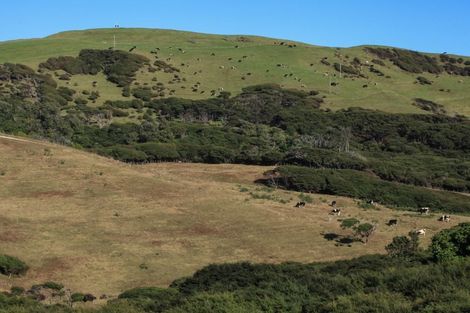 Photo of property in 1644a Whaanga Road, Raglan, 3296