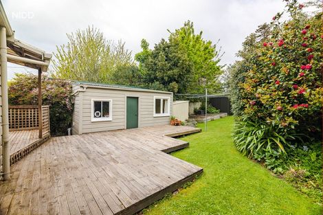 Photo of property in 42 Pacific Street, Roslyn, Dunedin, 9010