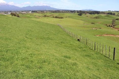 Photo of property in 98 Lincoln Road, Inglewood, 4389